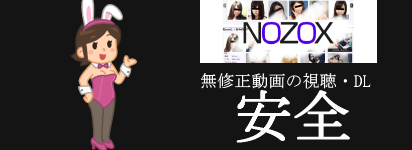 NOZOX（ノゾックス）の無修正動画像の単純所持や視聴に危険性はない