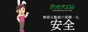 カリビアンコムの無修正動画像の単純所持や視聴に危険性はない