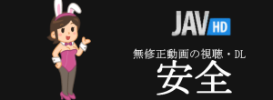 JAVHDの無修正動画像の単純所持や視聴に危険性はない
