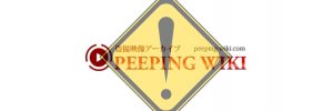では、Peeping wikiは安全なのでしょうか？