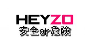 HEYZO(ヘイゾー)のクレジットカード決済は安全に利用できるのか