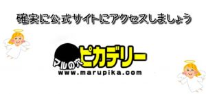 マルの穴ピカデリーで安全にクレジットカード決済する際の注意点