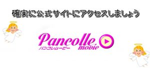 パンコレムービーで安全にクレジットカード決済する際の注意点